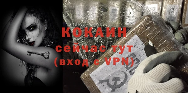 амф Горняк