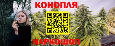 молекула духа Заводоуковск