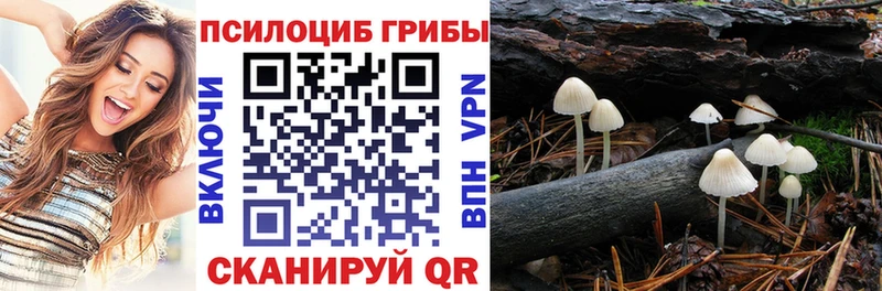 Галлюциногенные грибы Cubensis  закладки  Лыткарино 